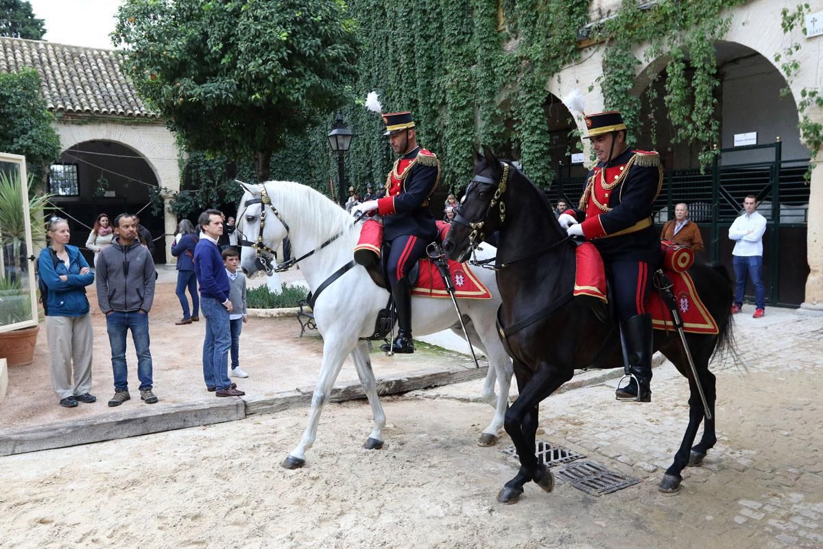 Jornadas de puertas abiertas en Caballerizas Reales