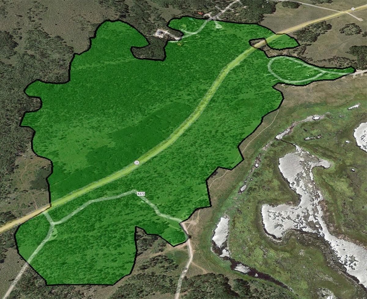 Perímetro del bosque Pando
