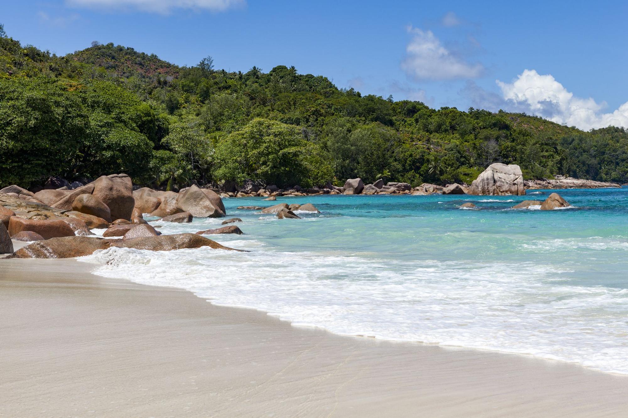 Las mejores playas del mundo no siempre son las más vacías, también las hay con mucha vida