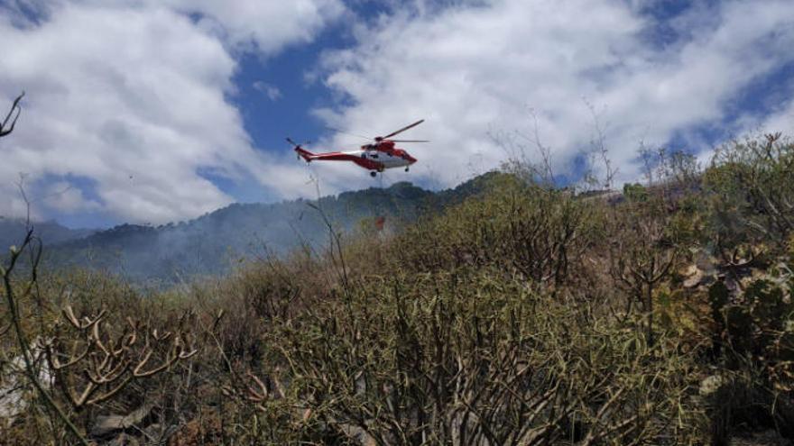 Controlado un conato de incendio en una zona de pasto de Mirca (La Palma)