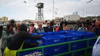 El 'pescaturismo' desaparece de Barcelona: las visitas se quedan en el muelle
