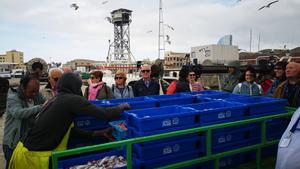 Visita guiada por el Port de Barcelona por El Peix al Plat