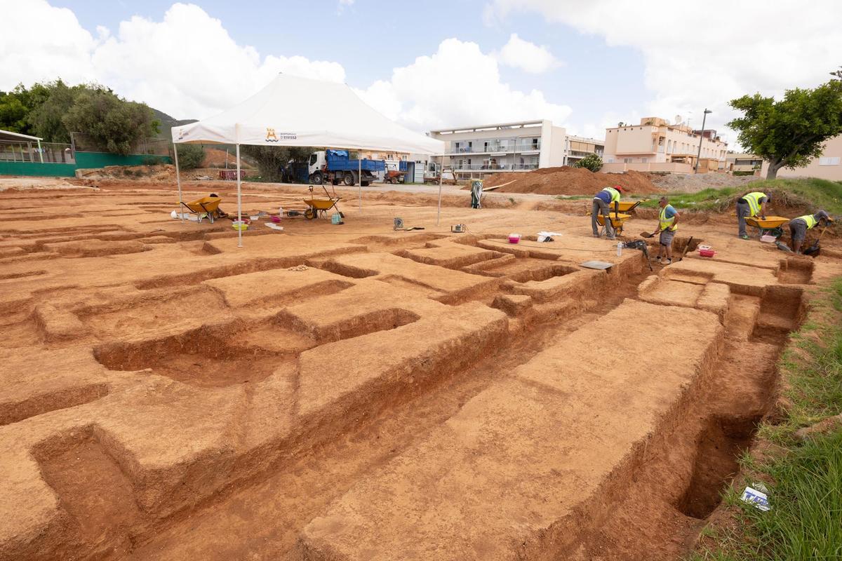 Can Cantó, una zona de cultivo para los púnicos en Ibiza
