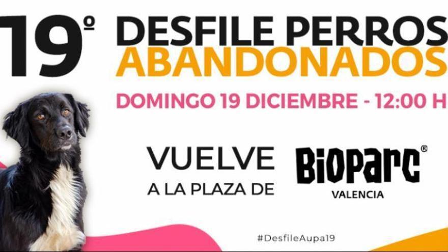 El domingo 19 de diciembre a las 12h. vuelve, de forma presencial, el 9º Desfile de Perros Abandonados en la plaza de BIOPARC.