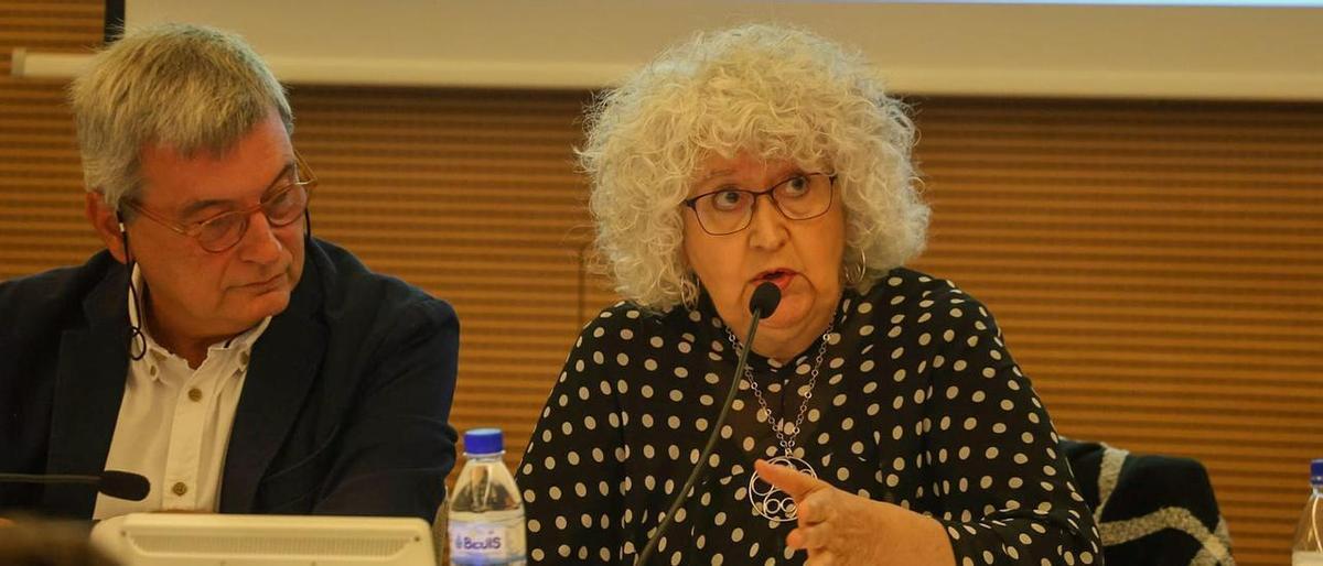 Teresa Freixes: «La convivència no es pot fonamentar en una injustícia, i aquesta amnistia ho és» Teresa Freixes: «La convivència no es pot fonamentar en una injustícia, i aquesta amnistia ho és»