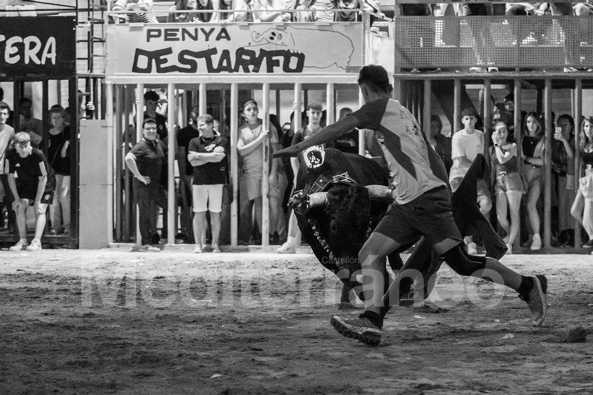 Bous a l'Alcora 2025