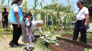 Los huertos urbanos no son tan sostenibles como parece, según un estudio