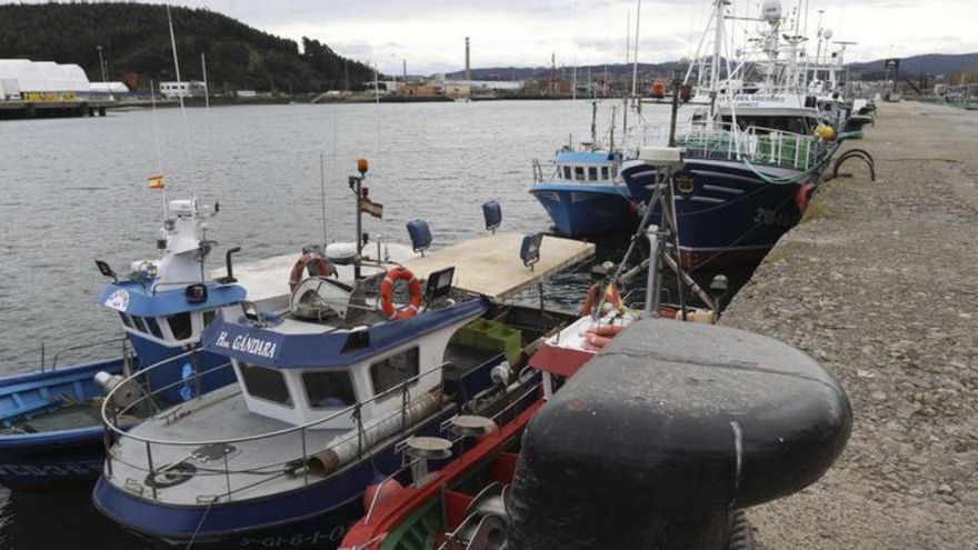 Barcos pesqueros amarrados ayer en Avilés.