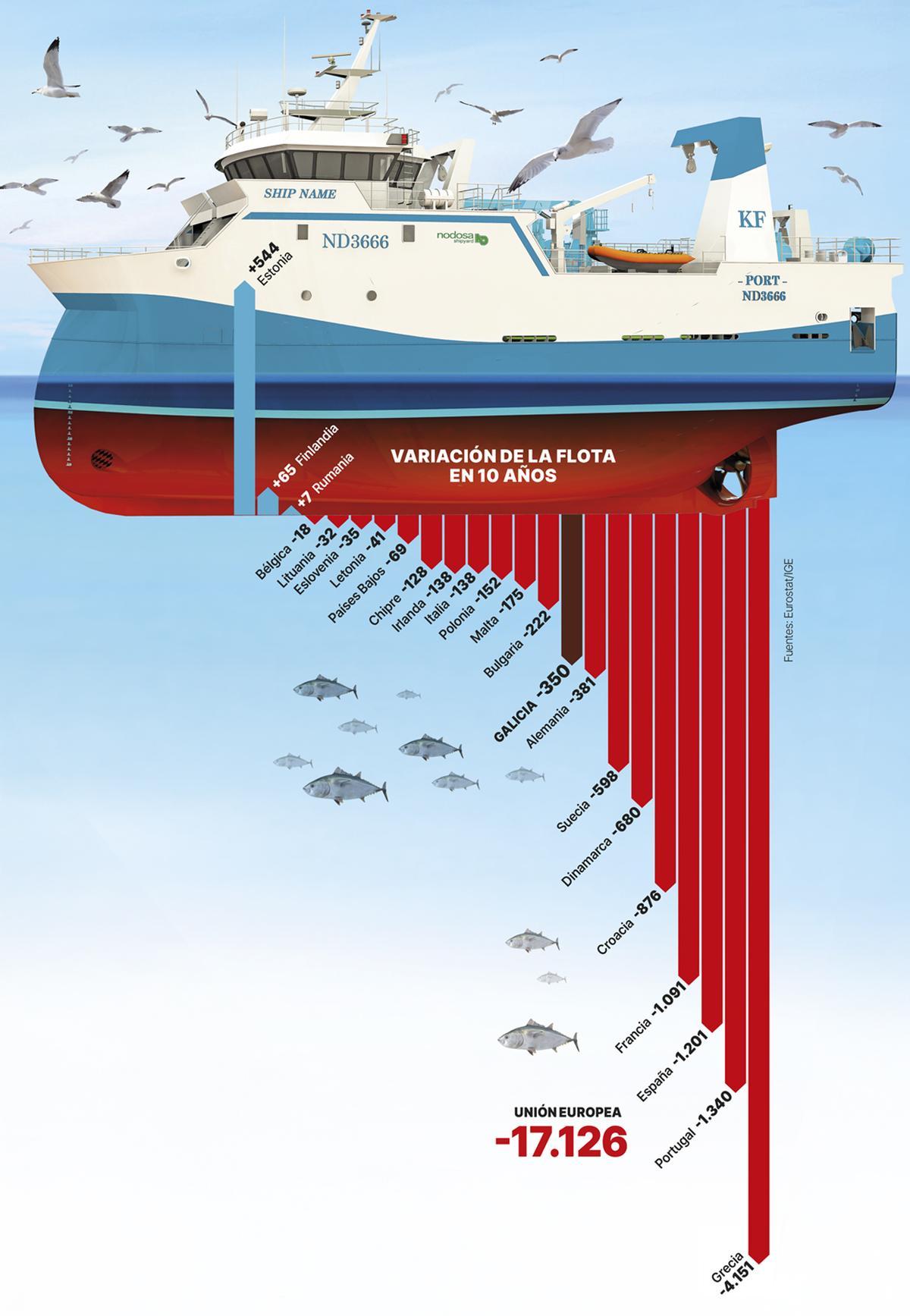Variación de la flota en 10 años