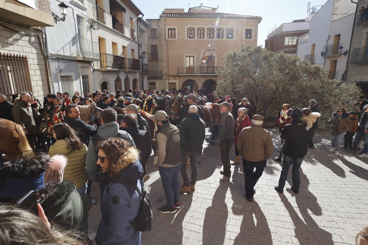 Cientos de personas se han congregado alrededor de uno de los árboles.