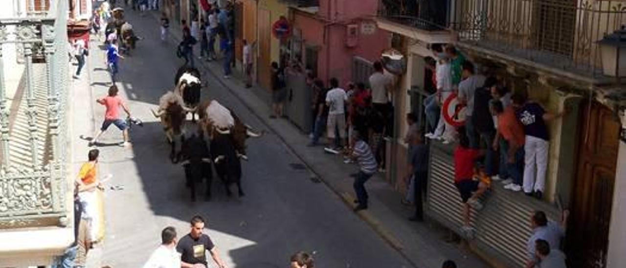 Almassora incluye dos encierros de corro y vacas en las fiestas de mayo