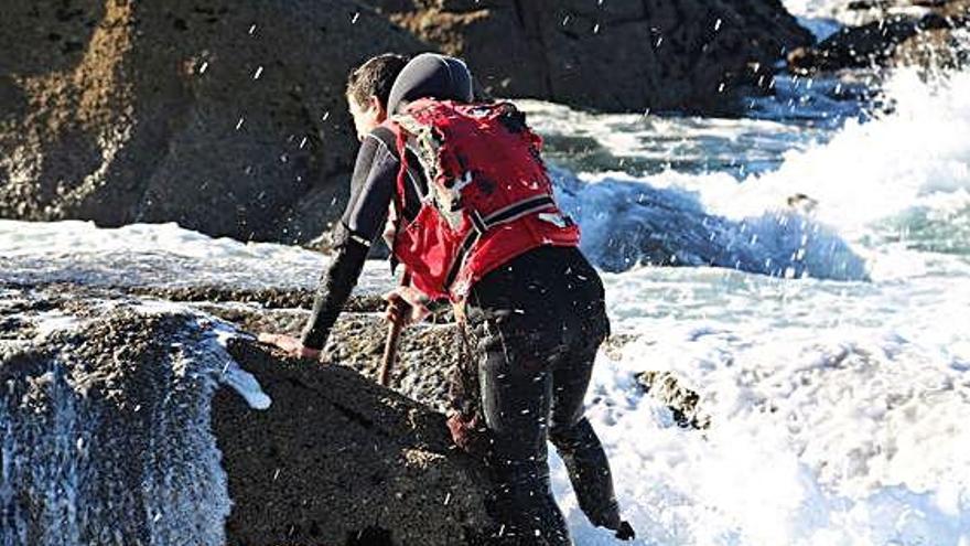 Un percebeiro busca recurso entre las rocas.