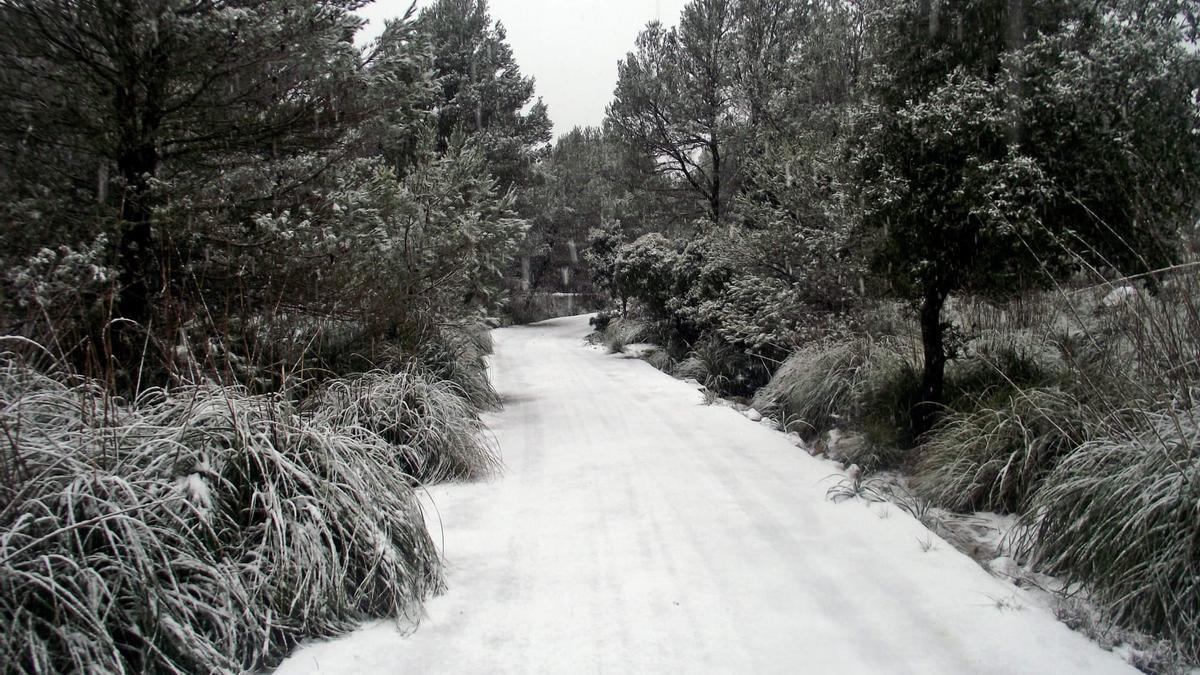 Las mejores imágenes de la nieve en la Serra de Tramuntana