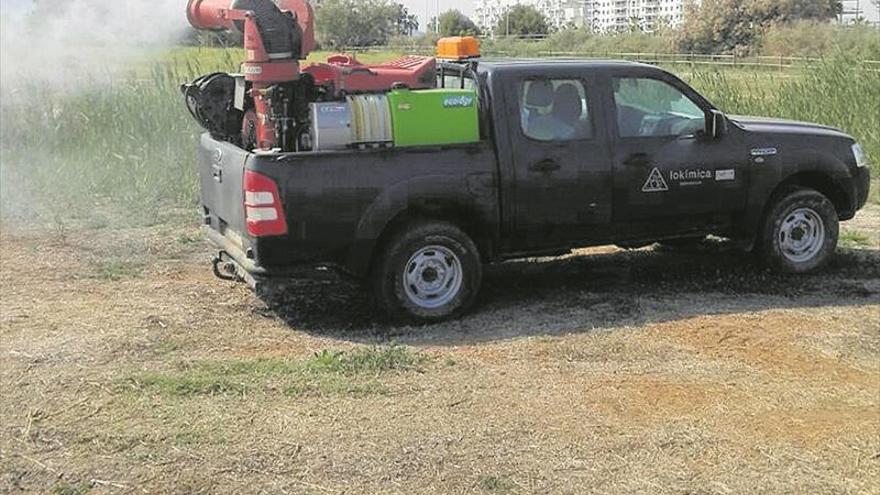 La Plana Alta fumiga a contrarreloj contra la feroz plaga de garrapatas