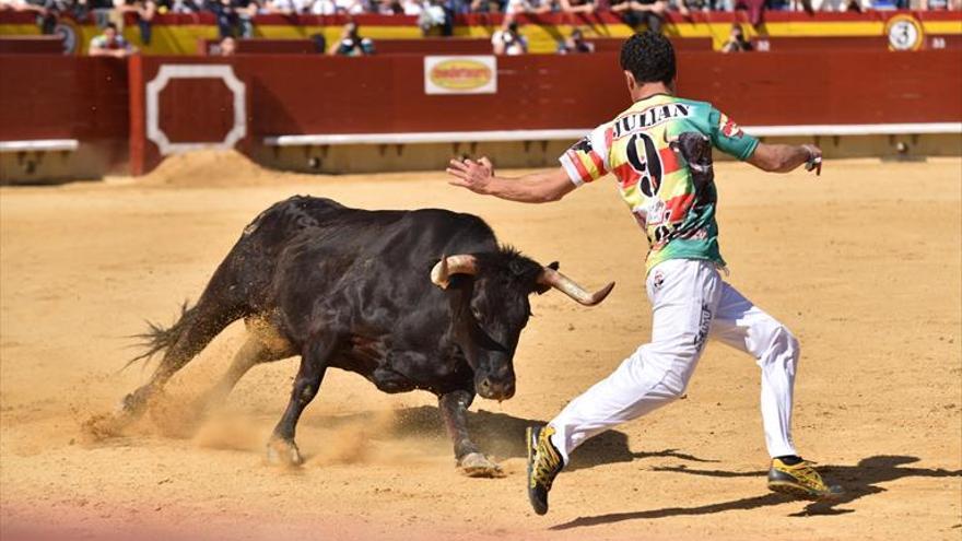 ‘Panchito’ se proclama ‘as’ de la calle en la Magdalena