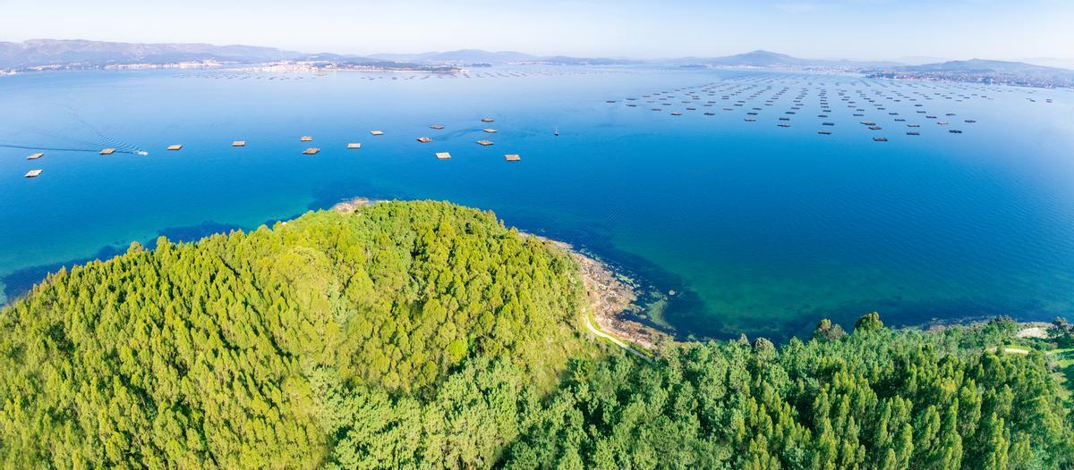 A Illa de Arousa, Pontevedra