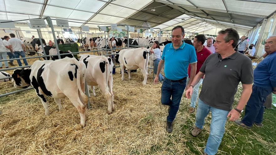 El Principado aplaude el paso de la UE para rebajar la protección del lobo que rechaza España