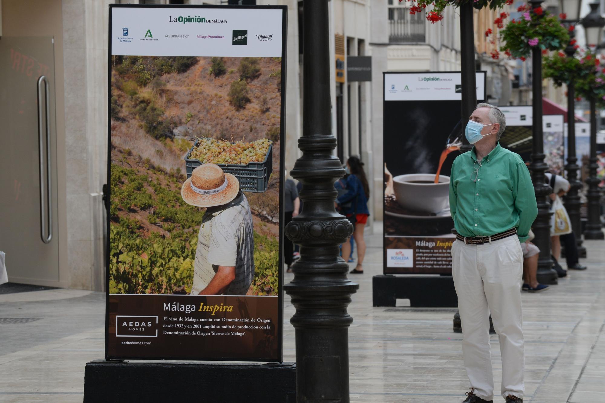 Exposición fotográfica 'Málaga Inspira', en la calle Larios