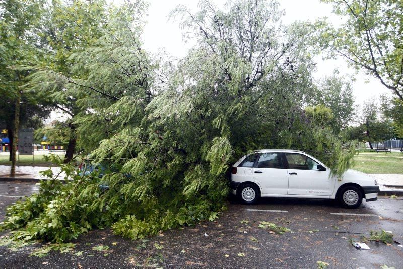 Fuerte tormenta en Zaragoza