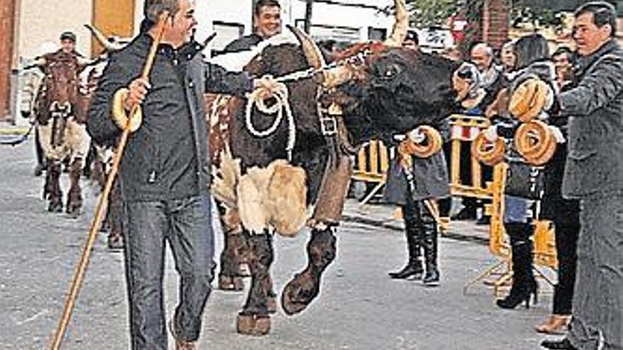 Onda vive con intensidad la fiesta del santo