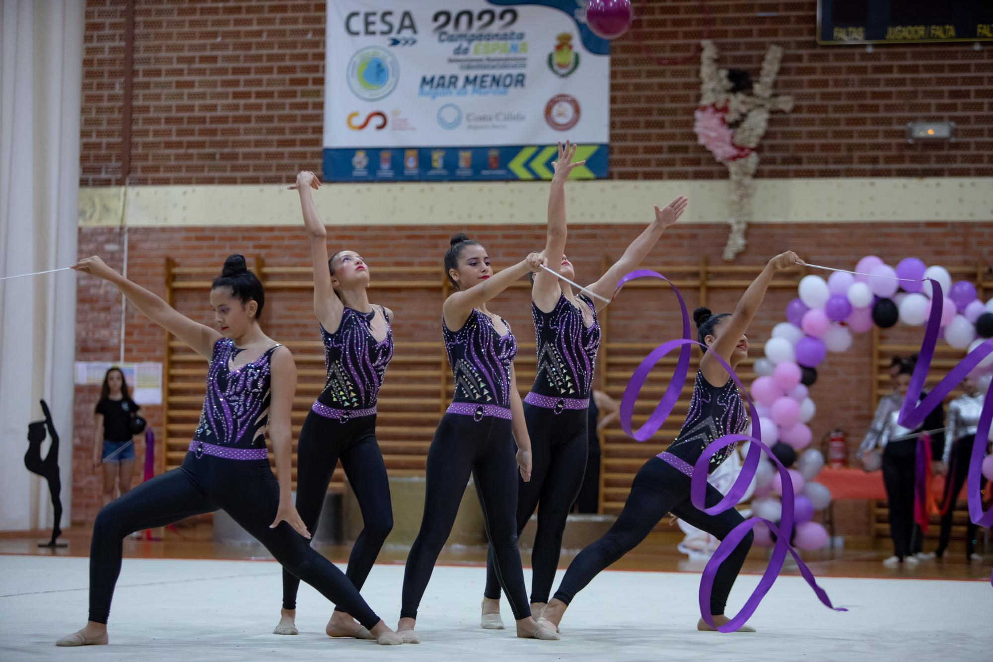 Campeonato regional de gimnasia rítmica