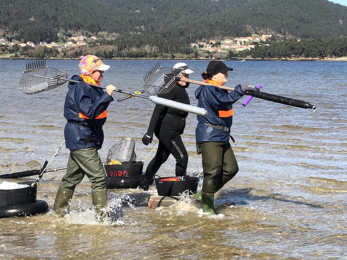 Mariscadoras de a pie de Noia faenando en el banco de O Testal hace un año.