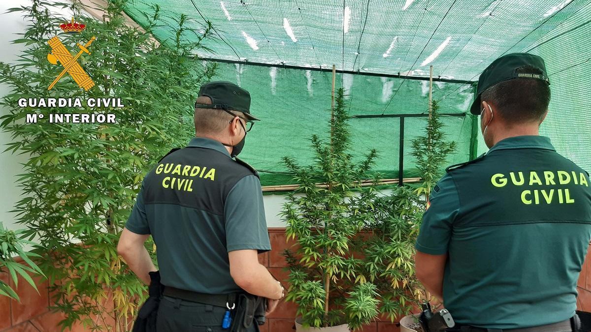Guardias Civiles de La Rambla en la azotea donde encontraron las plantas de marihuana.