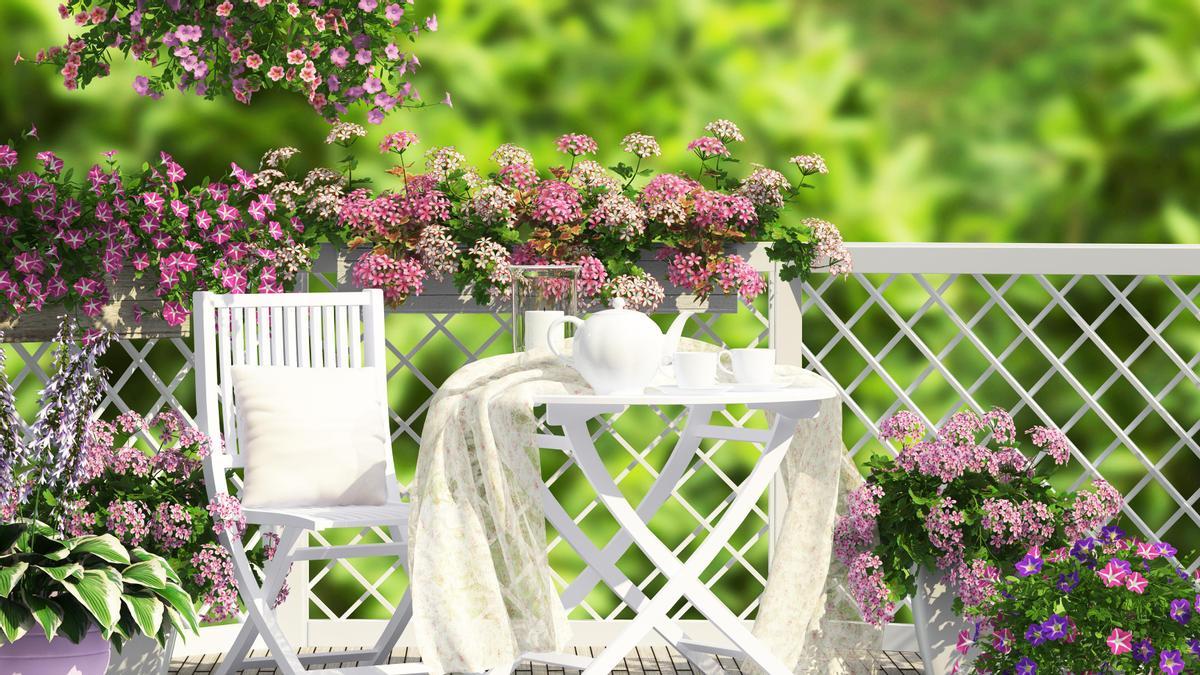 Las flores y las plantas son las mejores aliadas para tu terraza