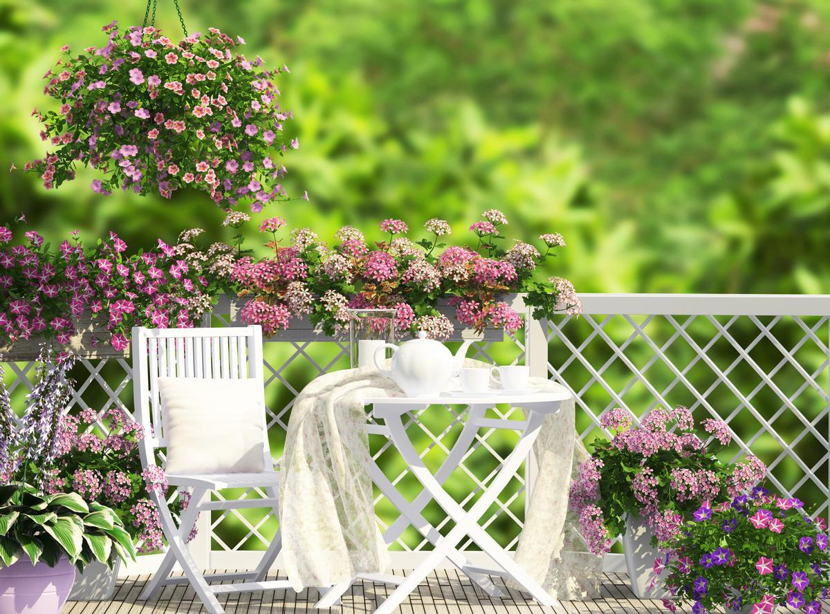 Las flores y las plantas son las mejores aliadas para tu terraza