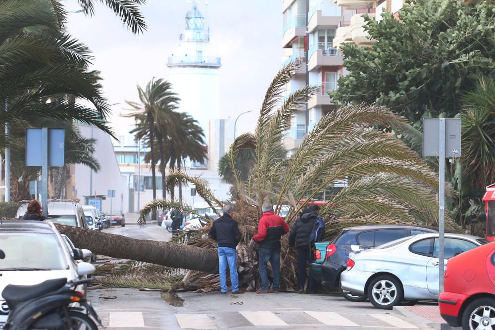 Temporal de viento y lluvia en Málaga