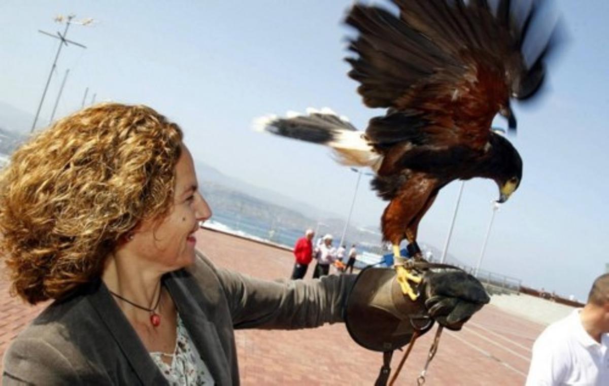 LAS PALMAS PALOMAS