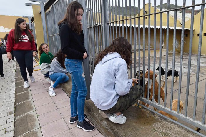 Alumnos del colegio Heidelberg visitan el ...