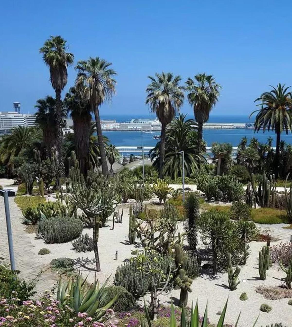 Els jardins de Costa i Llobera, a Montjuïc.  | AJUNTAMENT DE BARCELONA