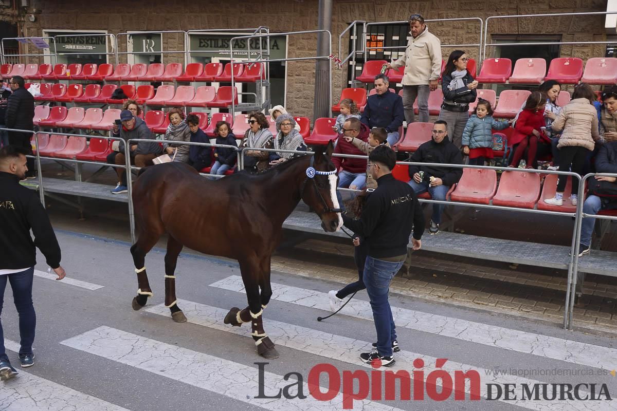 Concurso de caballo a pelo: pasacalles hasta el Hoyo en Caravaca