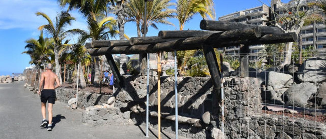 La paralización campa en la costa de Anfi del Mar