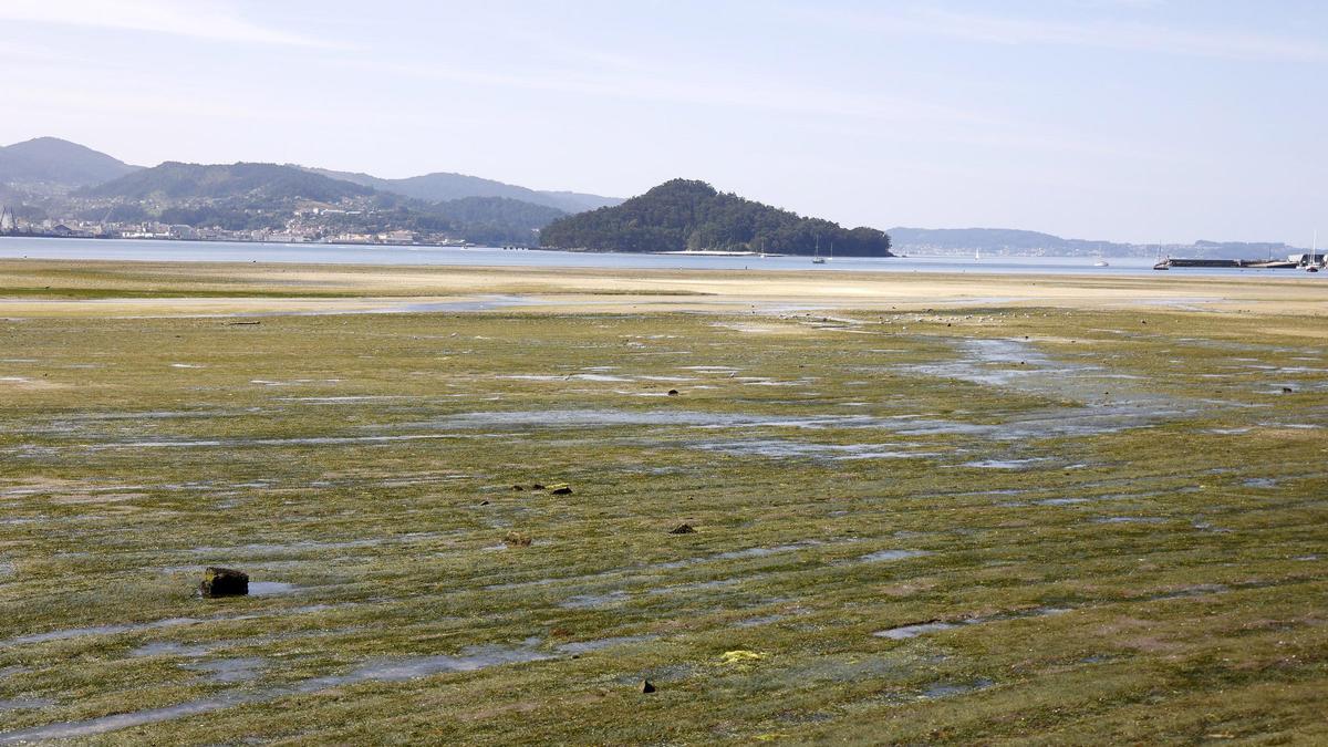 Bajamar pronunciada en la ría de Pontevedra, con la isla de Tambo al fondo.
