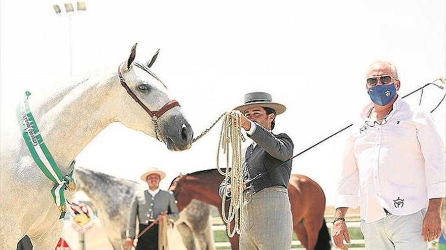 Gran cita con el mundo del caballo en palma del río