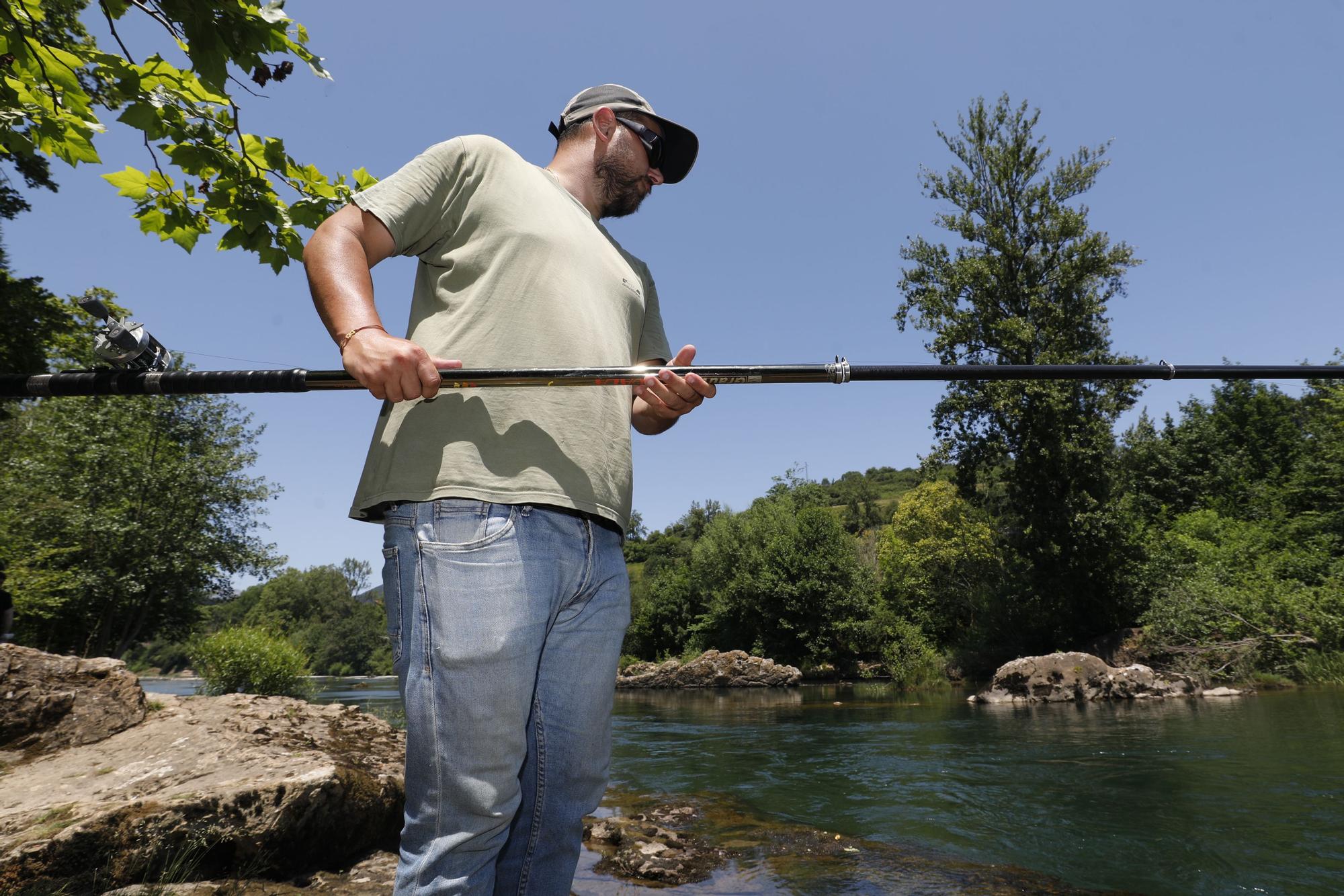 Temporada del salmón en Asturias: último día de pesca con cebo