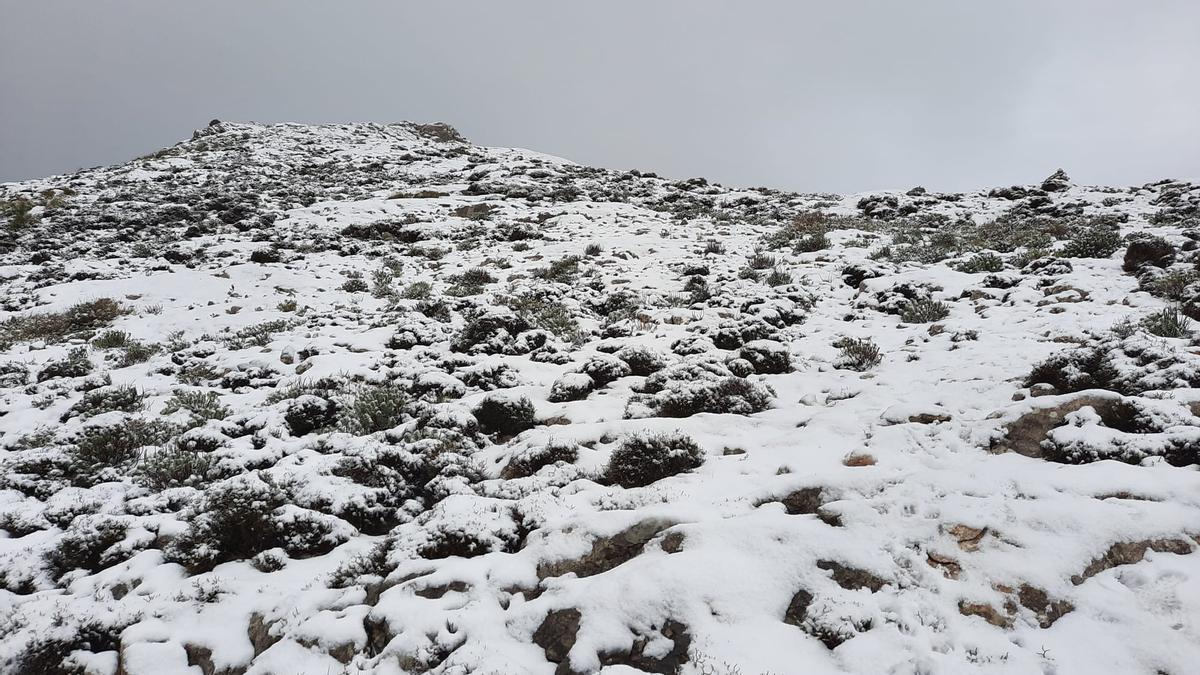 Las mejores imágenes de la nieve en la Serra de Tramuntana