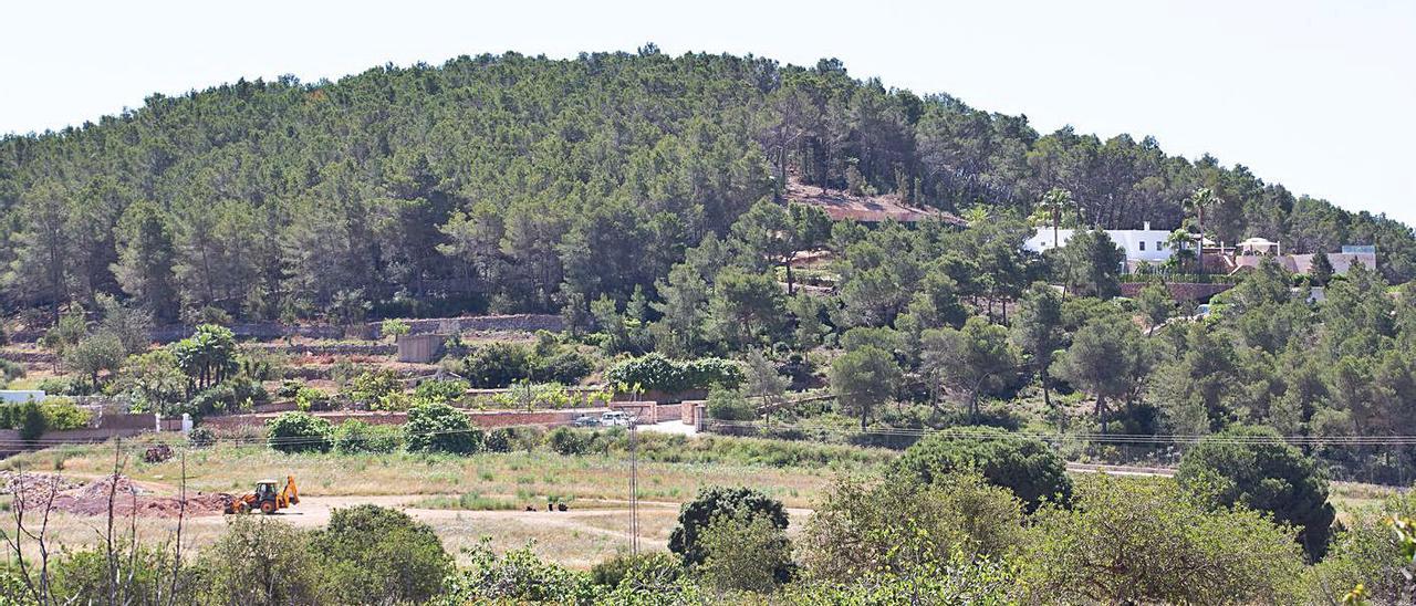 Una imagen general de la finca con la retroexcavadora a la izquierda y la casa a la derecha.