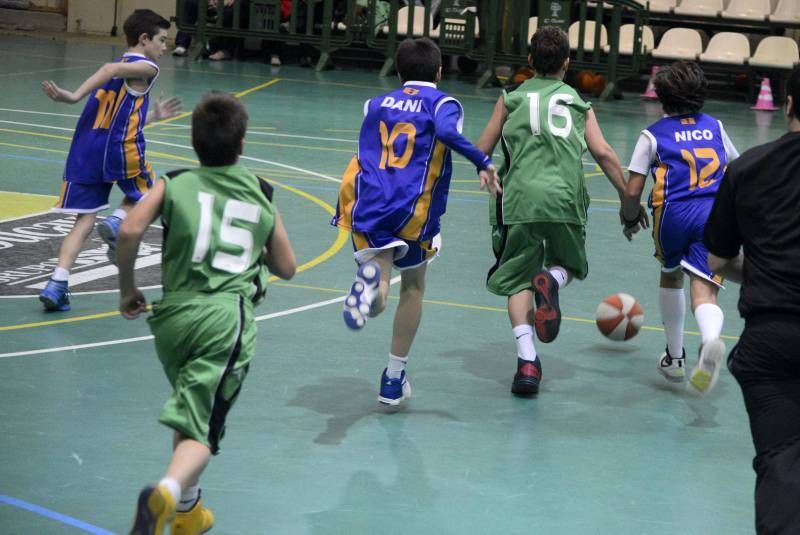 BALONCESTO: El Olivar - La Salle (Alevín B)