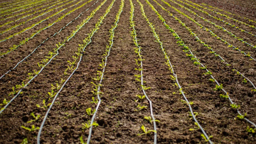 Agricultura regenerativa