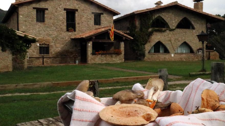 La manca de bolets fa caure la facturació d&#039;alguns restaurants i cases de turisme rural del Berguedà