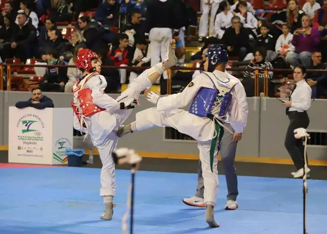 El Open de Andalucía de taekwondo, en imágenes