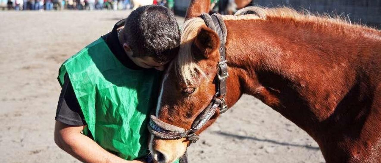 Un jinete y su caballo durante una Feira de San Martiño en A Estrada. // Bernabé/Luismy