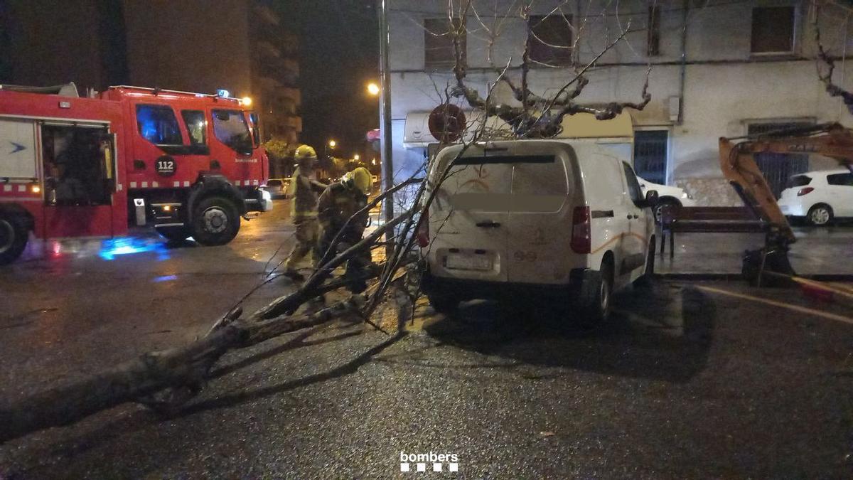 Un arbre ha impactat de matinada contra una furgoneta aparcada a Figueres