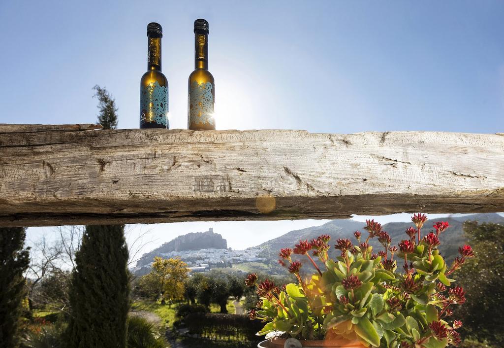 Muestra de aceites en la almazara Oleum Viride, con Zahara de la Sierra al fondo.