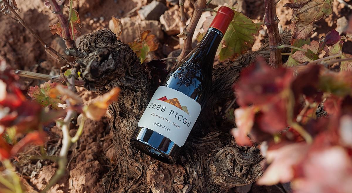 Borsao Tres Picos 2021, de Campo de Borja