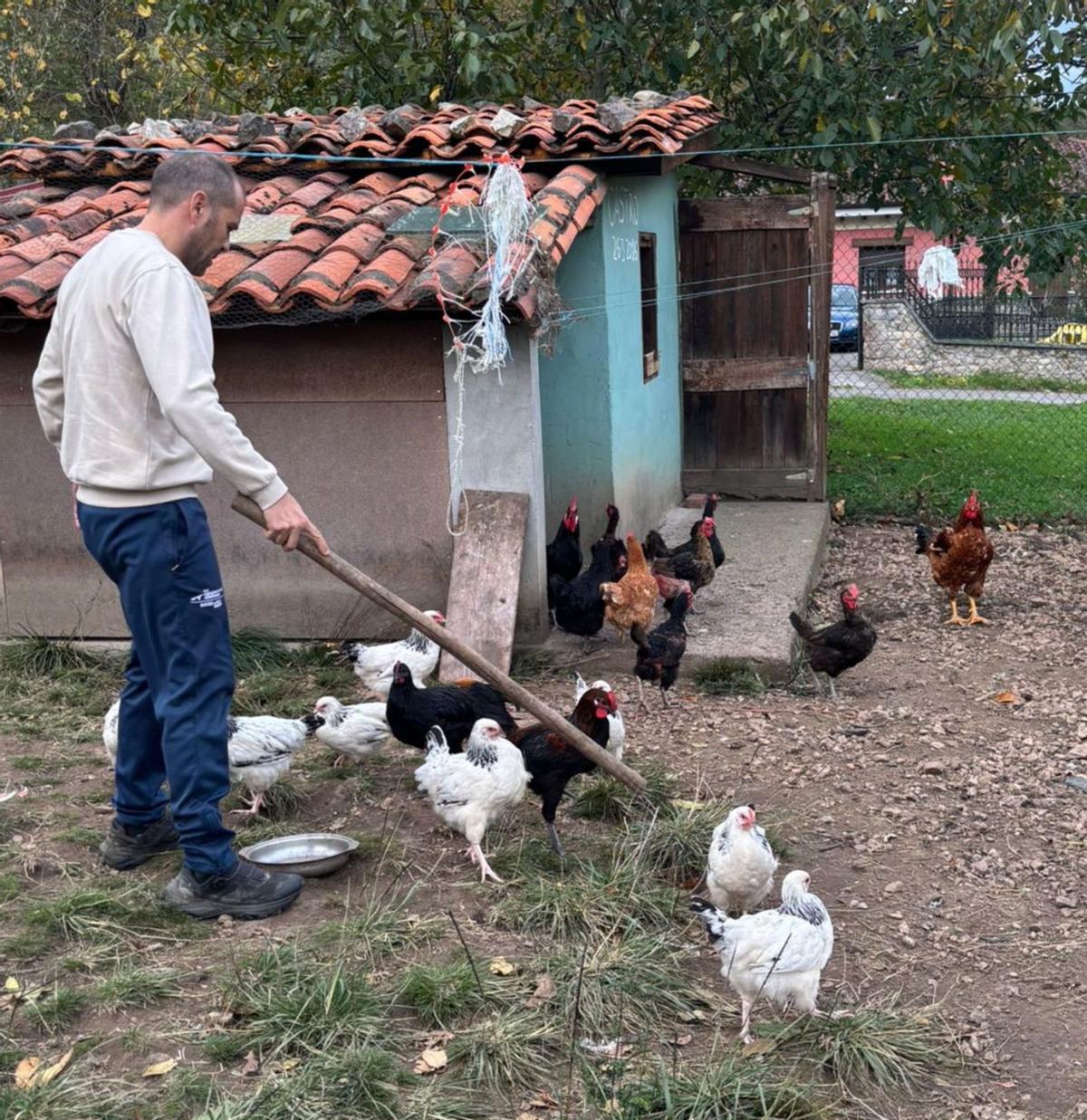 José Manuel González de Castro, guardando sus gallinas, en Cangas de Onís. | RAMÓN DÍAZ