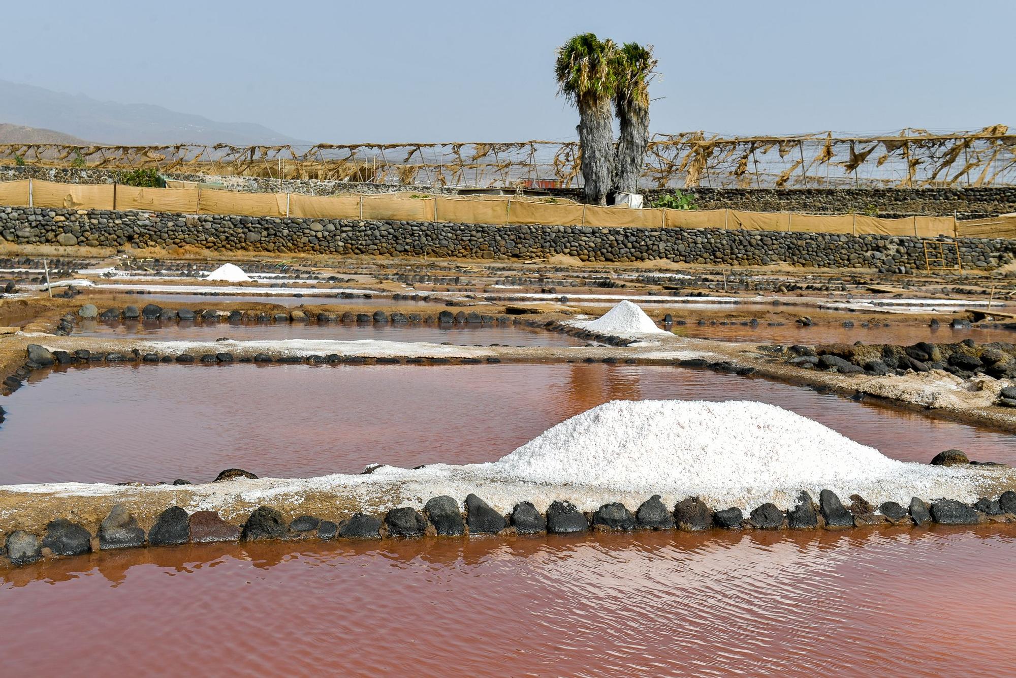 Salinas de Vargas